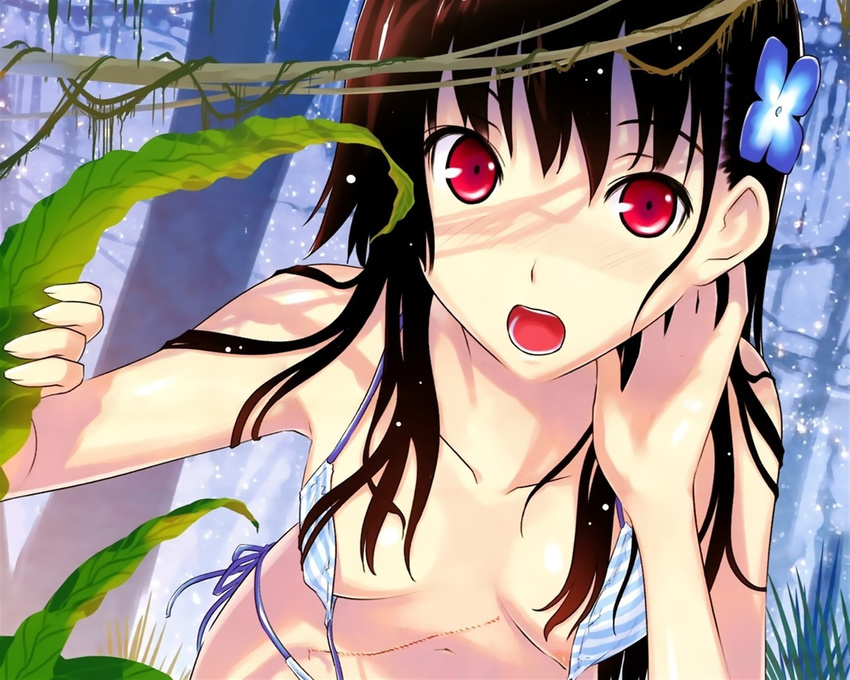 hattori_mitsuru jpeg_artifacts sanka_rea sankarea tagme