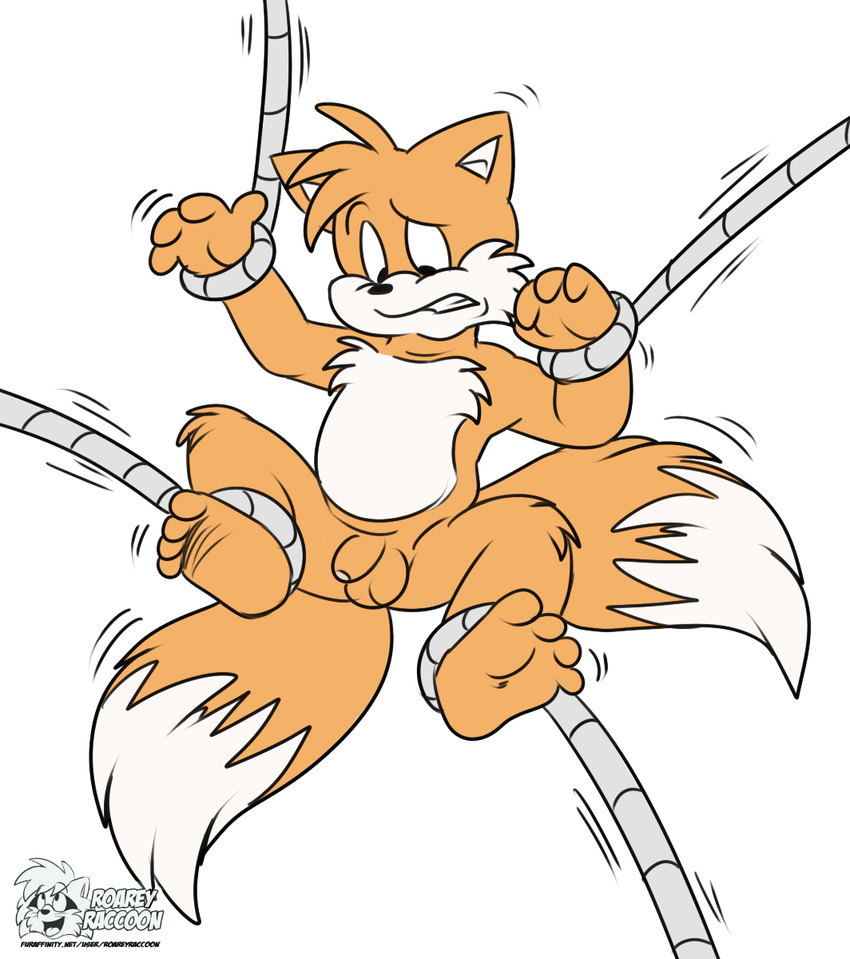 anthro balls bound canine flaccid fox male mammal miles_prower penis roarey_raccoon rope sega solo sonic_(series) tentacles