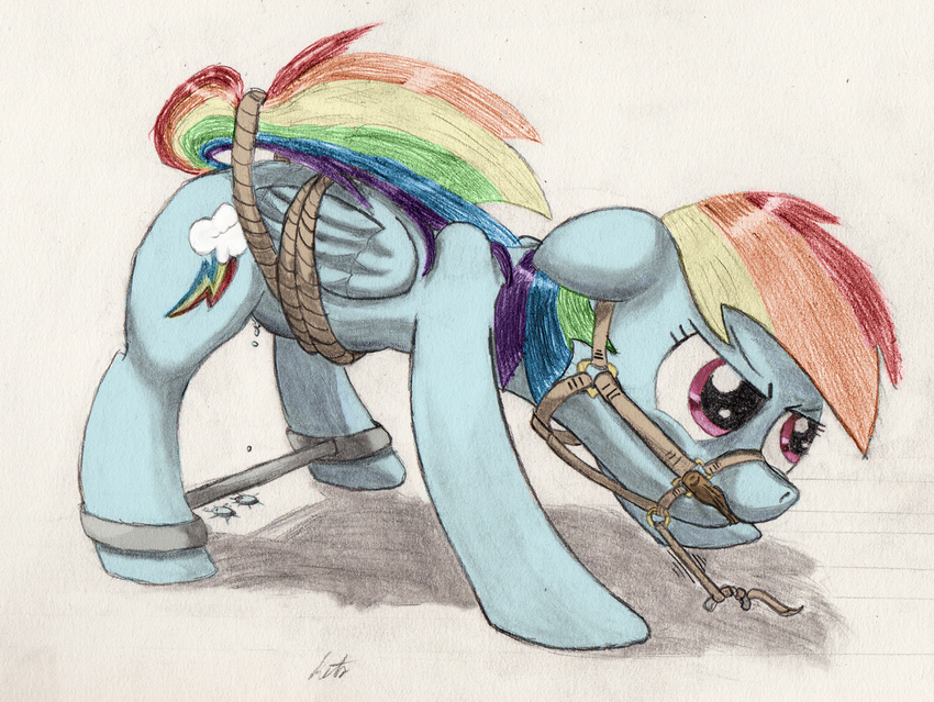 bit bound bridle cutie_mark equine female feral friendship_is_magic gag hair horse kitsuneymg mammal multi-colored_hair my_little_pony pegasus plain_background pony purple_eyes rainbow_dash_(mlp) rainbow_hair restrained solo spread_bar spread_legs spreader_bar spreading wet white_background wings