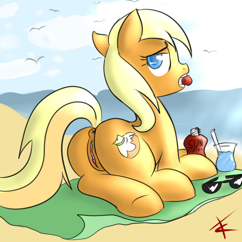 anus apple_cobbler_(mlp) avian beach bird cradeelcin cutie_mark equine eyewear female feral friendship_is_magic horse looking_at_viewer looking_back mammal my_little_pony outside pony pussy sand seaside solo sunglasses water