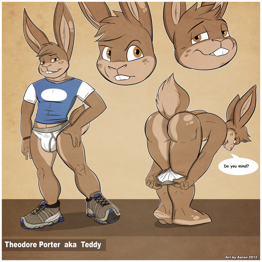 anthro anus bent_over big_butt briefs brown_eyes brown_hair butt cub english_text hair lagomorph looking_at_viewer looking_back male mammal nude rabbit smile solo teddy_porter text underwear undressing young