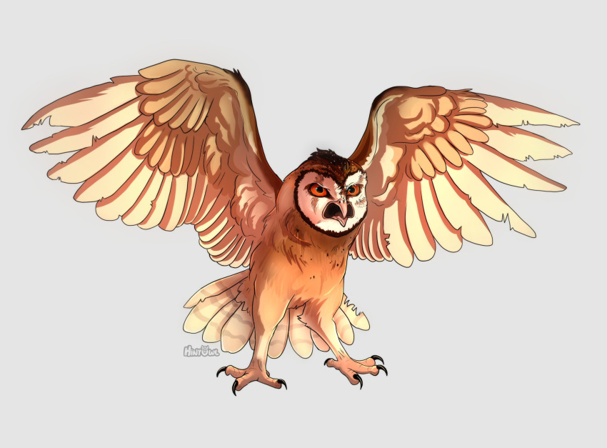 angry avian barn_owl bird brown_body brown_feathers claws feathers feral guardians_of_ga'hoole hi_res hintowl kludd male masked_owl owl red_eyes simple_background solo tytonid