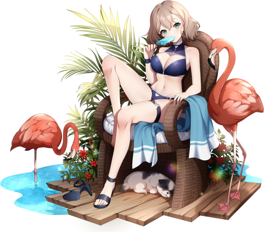 1girl bare_arms bare_legs bare_shoulders bikini bird black_bikini black_footwear blue_eyes blush breasts claire_(eversoul) cleavage cleavage_cutout clothing_cutout dog eversoul flamingo flower food food_in_mouth full_body game_cg hair_between_eyes high_heels highres holding light_brown_hair looking_at_viewer medium_breasts navel non-web_source official_alternate_costume official_alternate_hairstyle official_art on_chair palm_leaf plant popsicle popsicle_in_mouth red_flower shoes short_hair single_shoe sitting solo stomach swimsuit tachi-e thigh_strap towel transparent_background water