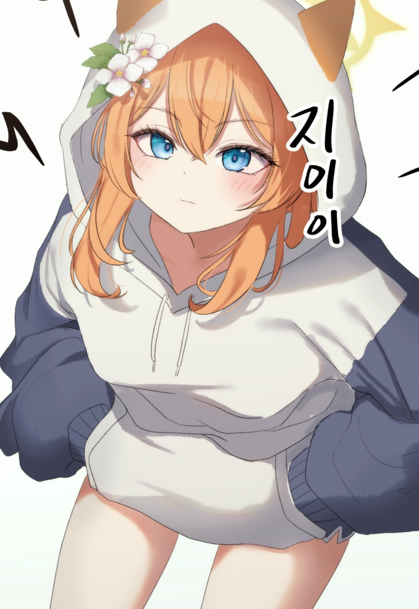 1girl animal_ear_headwear black_shorts blue_archive blue_eyes blush chiu538 closed_mouth cowboy_shot flower hair_between_eyes halo hands_in_pocket hat hat_flower highres hood hood_up hoodie leaning_forward long_hair long_sleeves looking_at_viewer mari_(blue_archive) orange_hair shorts simple_background solo white_background white_flower white_hoodie yellow_halo