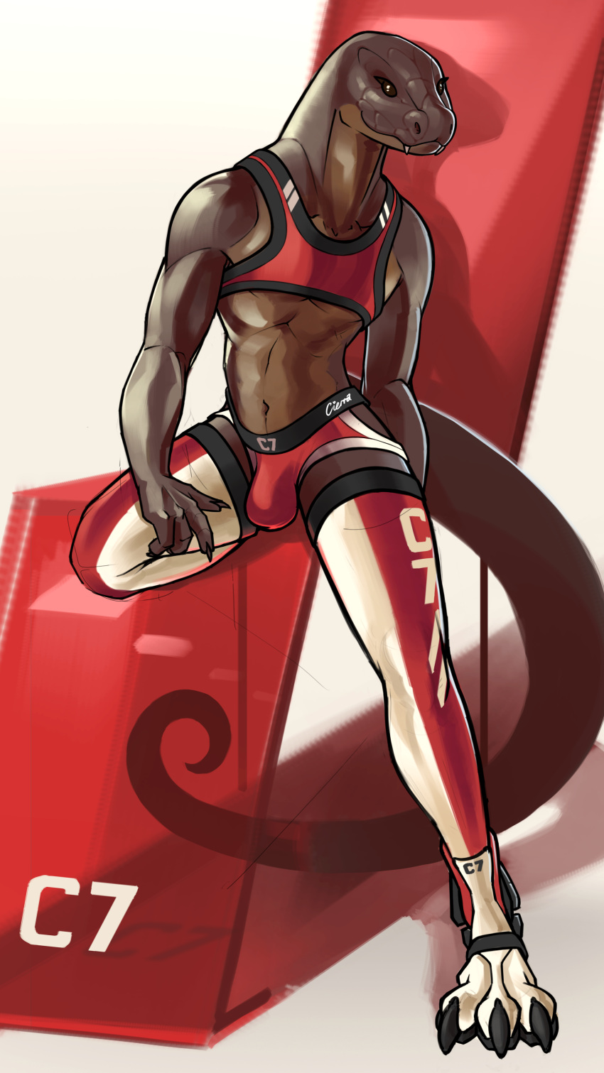 absurd_res anthro brown_body brown_scales bulge cierras clothing harness hi_res jockstrap legwear male reptile scales scalie snake solo stockings tail underwear