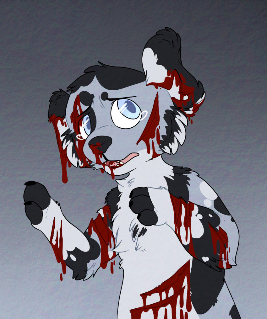 2019 3_fingers ambiguous_gender anthro blood blood_from_wound blood_in_mouth blood_on_chest blood_on_face blue_eyes bodily_fluids canid canine canis cheek_tuft chest_tuft domestic_dog facial_tuft fangs fingers fur gore grey_body grey_fur half-length_portrait hi_res kaiizree mammal nosebleed one_ear open_mouth portrait solo tears teeth tongue tuft white_body white_fur wounded