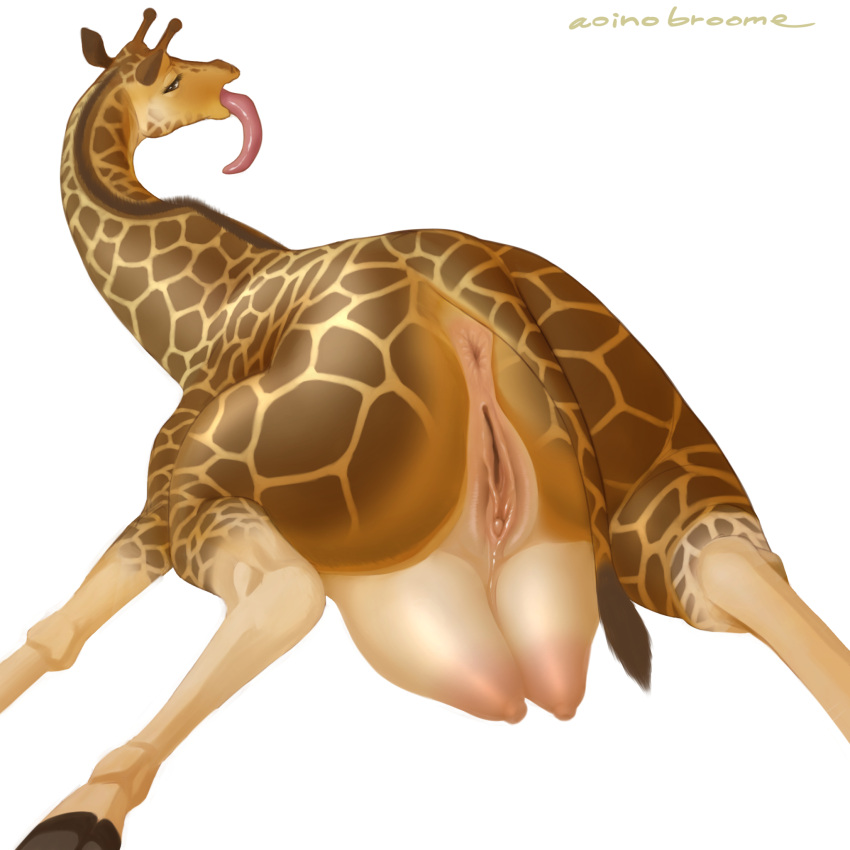 anus aoino_broome areola blush bodily_fluids female feral genital_fluids genitals giraffe giraffid hi_res horn mammal nipples nude pussy simple_background solo teats tongue white_background