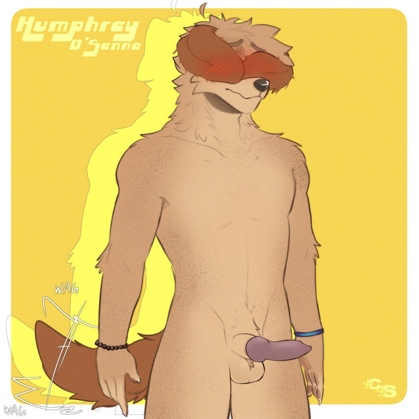 &lt;3 &lt;3_eyes 1:1 absurd_res ahoge animal_genitalia animal_penis anthro ball_tuft balls bird_dog bracelet brown_body brown_fur bulge canid canine canine_genitalia canine_penis canis cerberussenn claws cocker_spaniel covering covering_face domestic_dog ear_over_eye embarrassed erection eye_spot floppy_ears fluffy fluffy_hair freckles fur genitals green_eyes hair hi_res hiding_face humphrey_o'senna_(cerberussenn) hunting_dog jewelry knot male mammal penis sheath shy signature simple_background small_penis smile solo spaniel tail tail_motion tailwag tan_body tan_fur tuft yellow_background