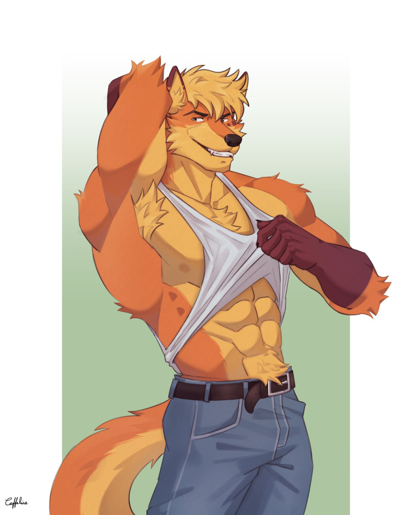 abs anthro belt biceps black_eyes bottomwear canid canine clothed clothing coffeline denim denim_bottomwear denim_clothing fox fur hi_res jeans male mammal muscular muscular_anthro muscular_male orange_body orange_fur pants pecs presenting_armpit raised_clothing raised_shirt raised_tank_top raised_topwear shirt solo standing tank_top topwear yellow_body yellow_fur yellow_sclera