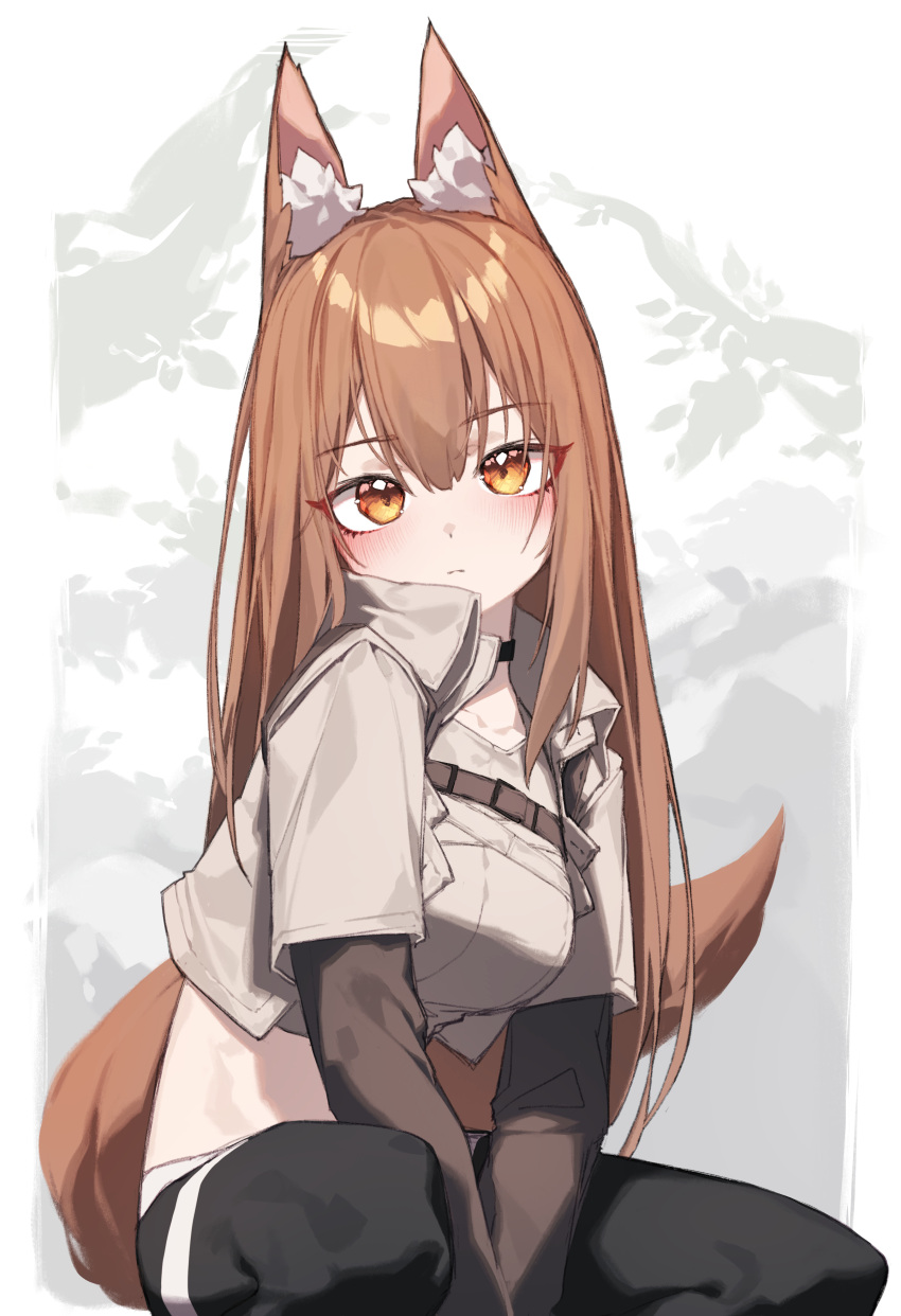 1girl absurdres animal_ear_fluff animal_ears arknights arms_between_legs beudelb black_pants blush brown_hair brown_tail closed_mouth collared_jacket cowboy_shot crop_top cropped_jacket cropped_shirt expressionless eyes_visible_through_hair fox_ears fox_girl fox_tail franka_(arknights) franka_(rainforest_me_rainbow)_(arknights) grey_jacket grey_shirt highres jacket layered_sleeves long_hair long_sleeves looking_at_viewer official_alternate_costume open_clothes open_jacket orange_eyes pants shirt short_over_long_sleeves short_sleeves sitting solo strap tail tail_raised white_background