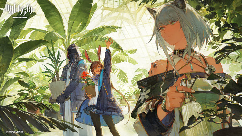 1boy 2girls amiya_(arknights) animal_ears arknights bare_shoulders black_gloves black_pantyhose blue_coat blue_eyes blue_skirt bottle cat_ears coat creamyghost detached_collar detached_sleeves doctor_(arknights) dress gloves green_eyes greenhouse grey_hair highres holding holding_plant hood hooded_jacket jacket jewelry kal'tsit_(arknights) long_hair multiple_girls off-shoulder_dress off_shoulder official_art pantyhose plant pleated_skirt ponytail potted_plant rabbit_ears ring scales scar_on_shoulder shirt skirt spray_bottle stethoscope very_long_hair watch waving white_nails white_shirt wristwatch