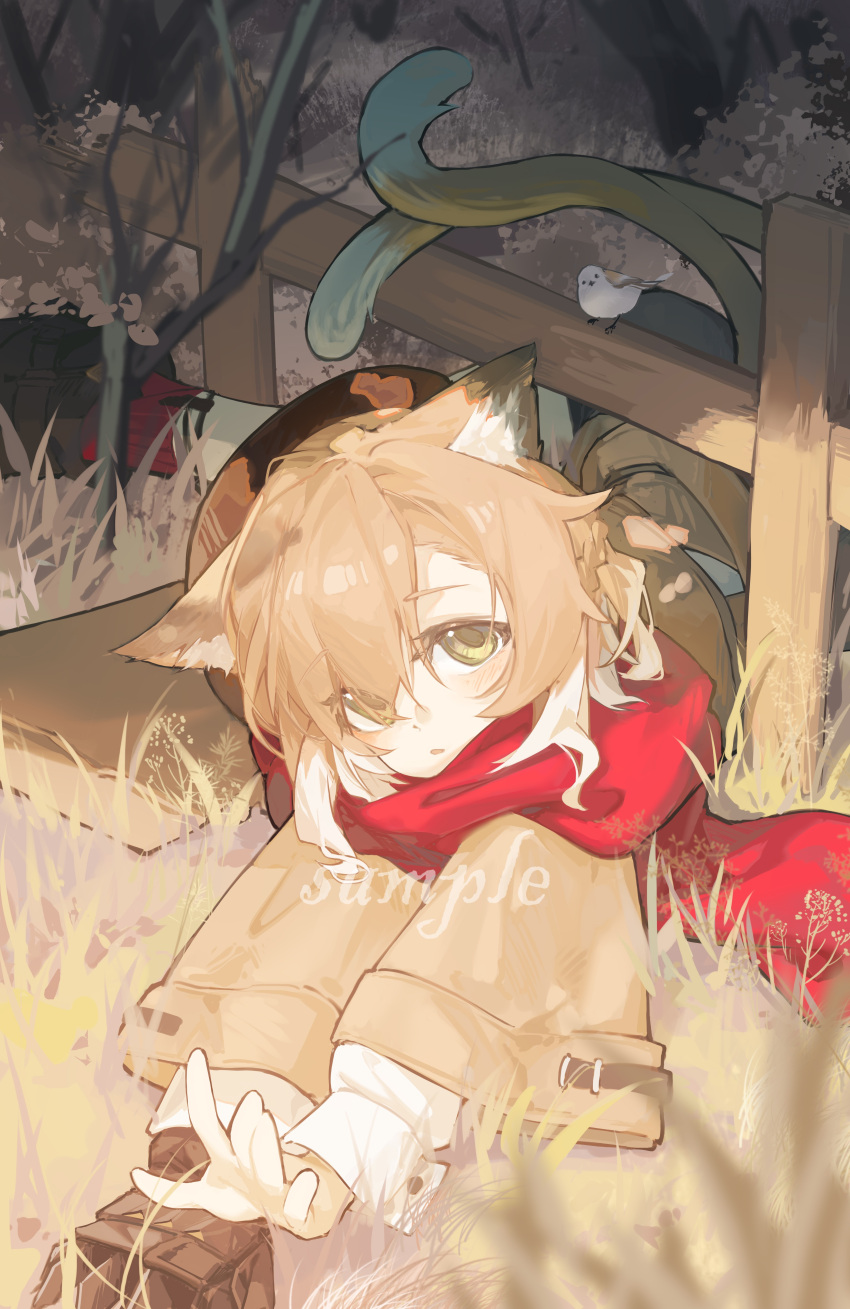 1girl absurdres animal_ears arknights beret bird black_footwear black_hat black_shorts blonde_hair boots brown_jacket cat_ears cat_girl cat_tail chino_(user_zdyd2447) commentary_request fence foot_out_of_frame grass hat highres jacket looking_at_viewer mousse_(arknights) mousse_(campfire_cooking_smoke)_(arknights) multiple_tails official_alternate_costume on_ground open_mouth red_scarf red_socks sample_watermark scarf short_hair shorts socks solo tail two_tails watermark wooden_fence yellow_eyes