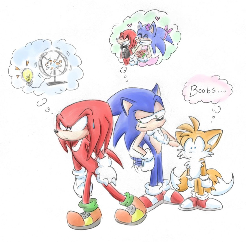 blue_eyes canine dream echidna fox green_eyes hedgehog knuckles_the_echidna male mammal miles_prower purple_eyes sega sonic_(series) sonic_the_hedgehog tailwag unknown_artist wagging