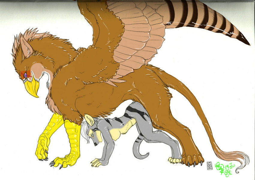 anthro anthro_on_feral avian beak bestiality breasts female feral gryphon interspecies male mammal marsupial nude plain_background serpy sex shinigamigirl size_difference straight thylacine vex white_background wings wintersnowolf