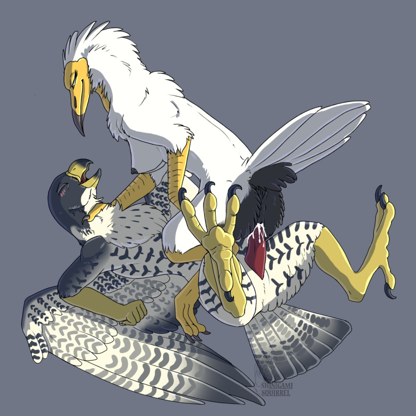 anisodactyl anthro anus avian beak bird blush breasts claws cowgirl_position cum cum_in_pussy cum_inside egyptian_vulture eyelashes eyes_closed falcon feathers female hi_res looking_pleasured lying male male/female nipples non-mammal_breasts on_back on_top penis peregrine_falcon pussy sex shinigamisquirrel smile tail_feathers talons tiercel toe_claws vulture white_feathers wings