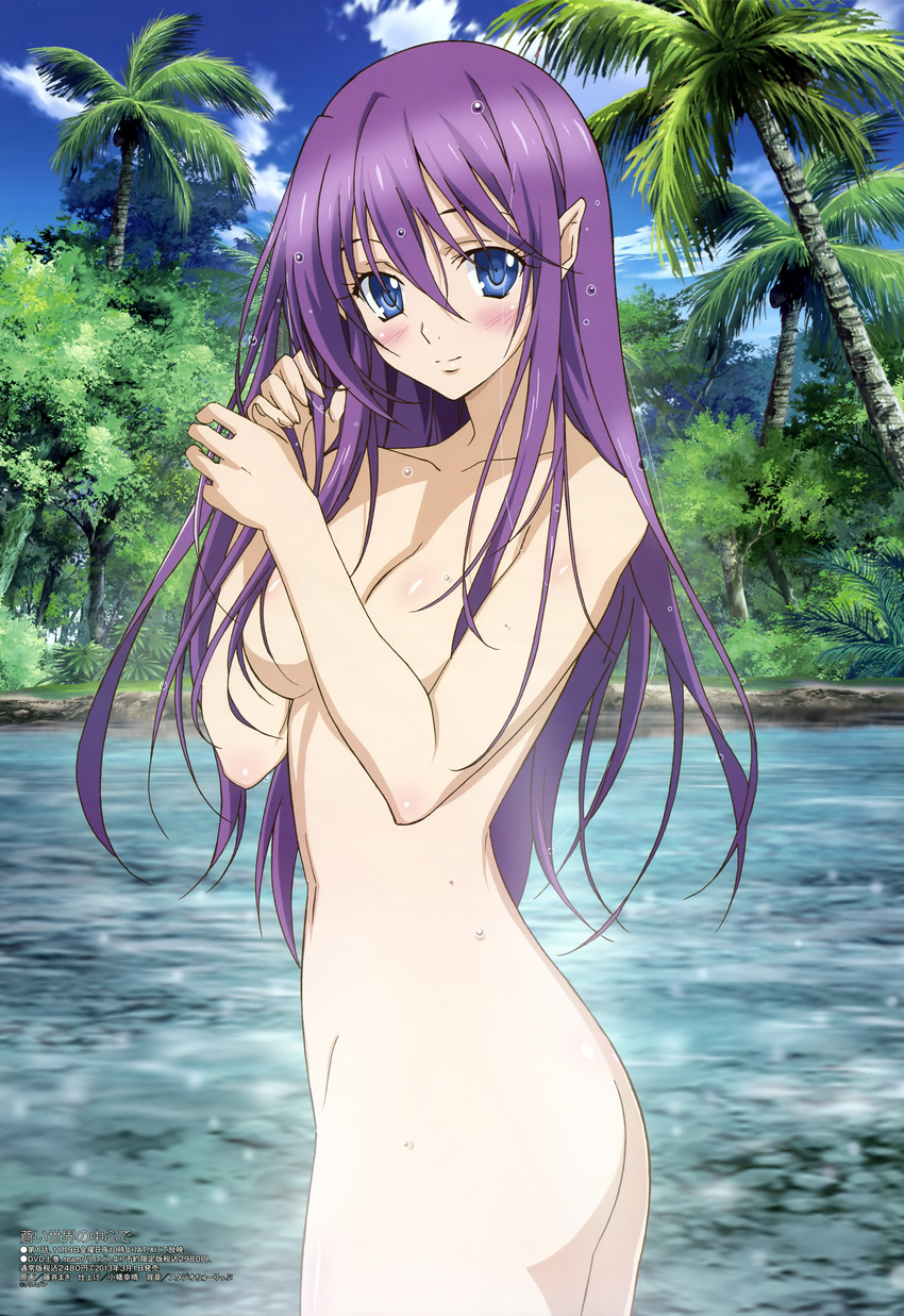 absurdres adjusting_hair aoi_sekai_no_chuushin_de ass bangs blue_eyes blush body_blush breasts bush censored cleavage cloud coconut convenient_censoring day forest fujii_maki hair_between_eyes hair_censor hair_over_breasts hand_in_hair highres long_hair looking_at_viewer looking_back medium_breasts megami nature navel nel_(aoi_sekai_no_chuushin_de) non-web_source nude official_art outdoors palm_tree pointy_ears profile purple_hair scan sky smile solo sparkle standing steam tree very_long_hair water wet wet_hair