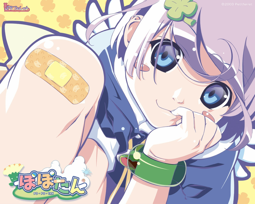 bandaid bandaid_on_knee blue_eyes blush blush_stickers bracelet jewelry mii_(popotan) popotan purple_hair short_hair smile solo wallpaper watanabe_akio wings