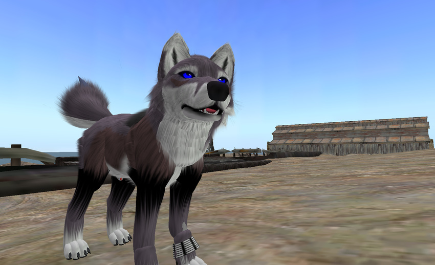 "second avatar canine coyote dog fox hills life" male sand wastelands whisper wolf zifanwe