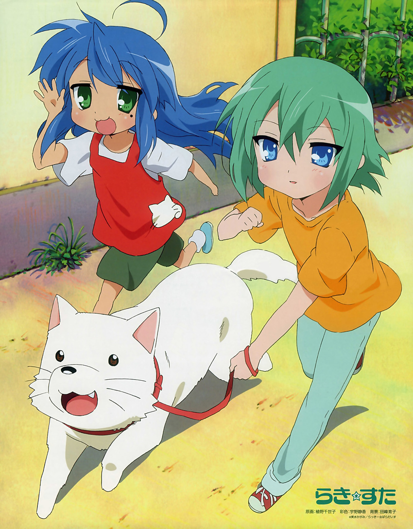 :3 ahoge blue_eyes blue_hair casual cherry_(lucky_star) green_eyes green_hair highres iwasaki_minami izumi_konata long_hair lucky_star mole mole_under_eye multiple_girls official_art running scan short_hair ueno_chiyoko