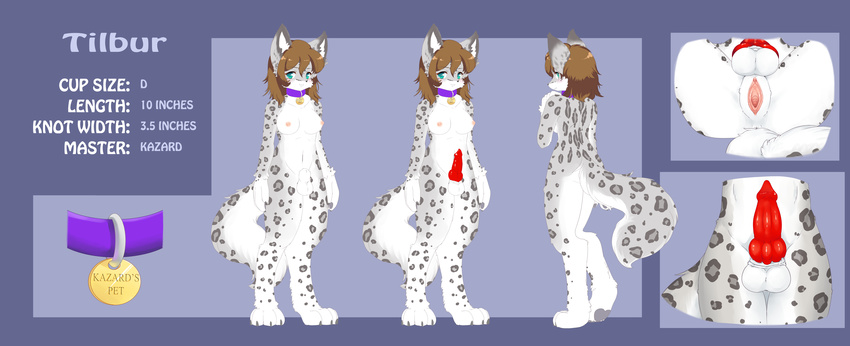 breasts canine collar feline fuzzwolfy herm hi_res hybrid intersex kazard knot leopard mammal model_sheet penis pet_play pussy ref_sheet snow_leopard solo tilbur wolf