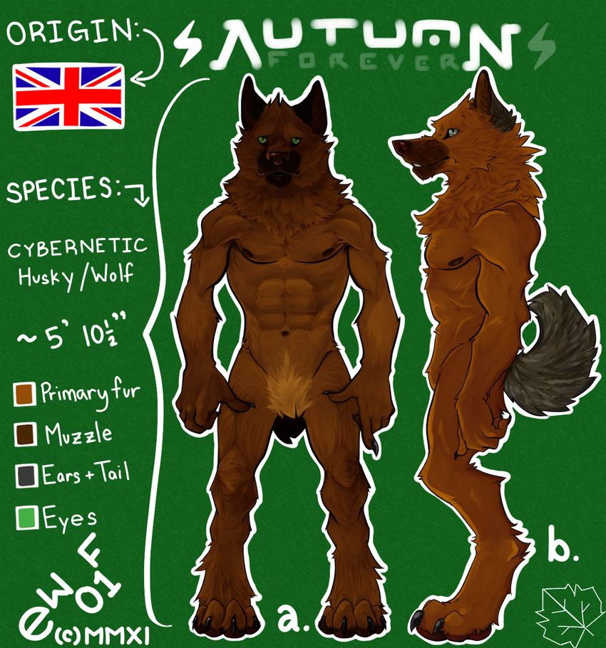 animal_genitalia anthro balls biceps brown_fur canine canine_penis claws e-w01f english_flag fangs flaccid fluffy_tail fur green_eyes grey_fur male mammal model_sheet muscles nipples nude pecs penis pose sheath solo standing toe_claws toned union_jack