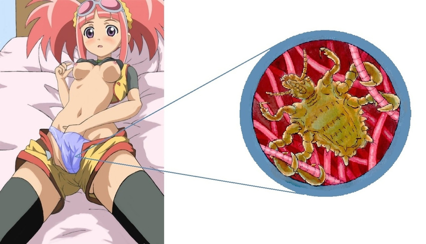 1girl aero blue_panties blush capcom climax_entertainment close-up dinosaur_king goggles hand_in_panties insect lice panties parasite pubic_hair red_hair scratching sega shirt_lift shorts small_breasts tatsuno_malm thighhighs underwear