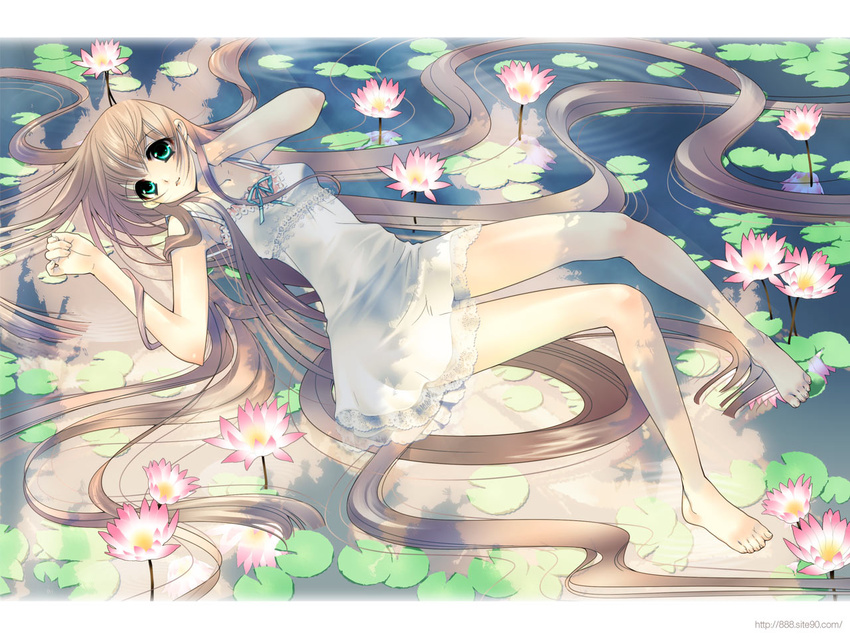 888 aqua_eyes barefoot brown_hair copyright_request flower lily_pad long_hair lying solo very_long_hair water