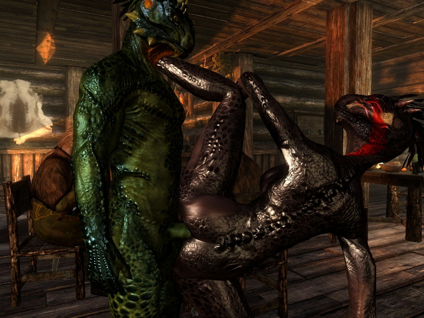 argonian nord skyrim tagme the_elder_scrolls