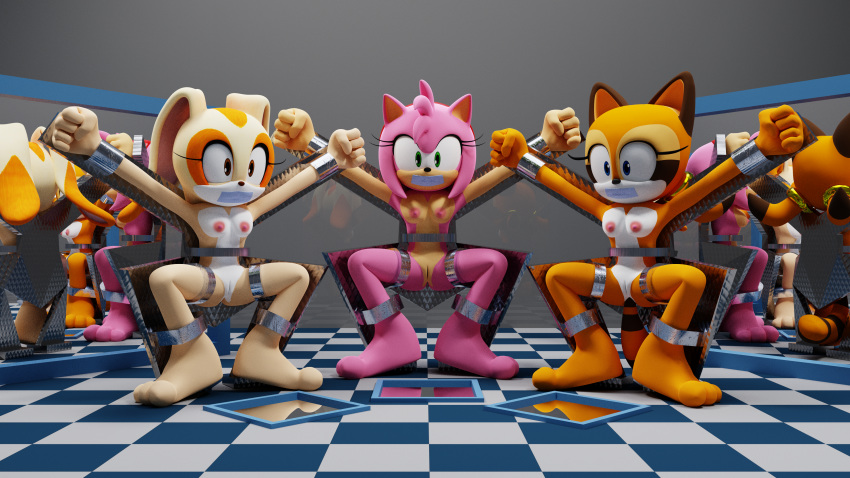 3d_(artwork) a_frame amy_rose bdsm bondage bound cream_the_rabbit digital_media_(artwork) female marine_the_raccoon nude smpthehedgehog sonic_(series)