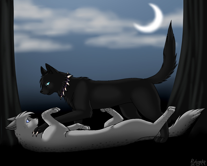 ashfur ashfur_(warriors) black_fur blue_sclera cat claw_necklace cloud clouds collar crescent_moon dominating domination embrace eye_contact feline feral feral_on_feral forest freckles fur gay grey_fur korcika lying male mammal moon moonlight night on_back outside scourge scourge_(warriors) spiked_collar submissive tree warriorcats warriors_(cats) white_claws