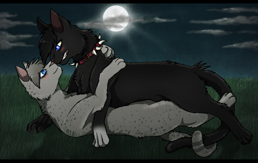 art-juliar ashfur_(warriors) black_fur blue_eyes cat claw_necklace cloud clouds collar embrace entwined_tails eye_contact feline feral freckles fur gay grass grey_fur grin hair letterbox lying male mammal moon moonlight night nuzzle on_back on_top outside scourge_(warriors) silver_fur silver_hair spiked_collar spots warriorcats warriors_(cats)