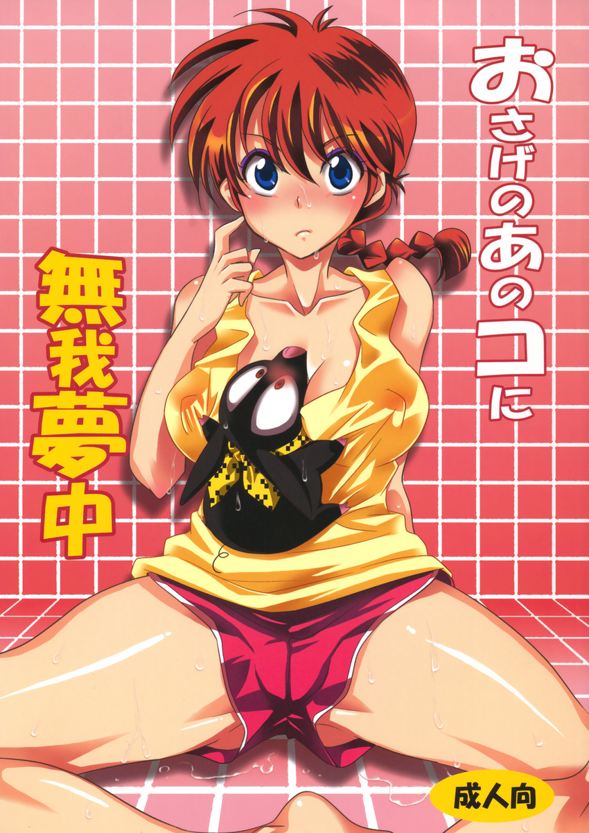 barefoot blue_eyes blush braid breasts cover cover_page covered_nipples genderswap genderswap_(mtf) hibiki_ryouga highres large_breasts p-chan pig ranma-chan ranma_1/2 red_hair saotome_ranma set sitting spread_legs wet yu-ri_(kurione-sha)