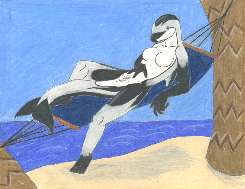 anthro beach breasts cetacean clitoris dolphin dolphin_vagina dreigiau-arian female genital_slit hammock hi_res mammal mammary_slits marine pacific_white-sided palm_tree pussy river sand sea seaside slit water wave waves