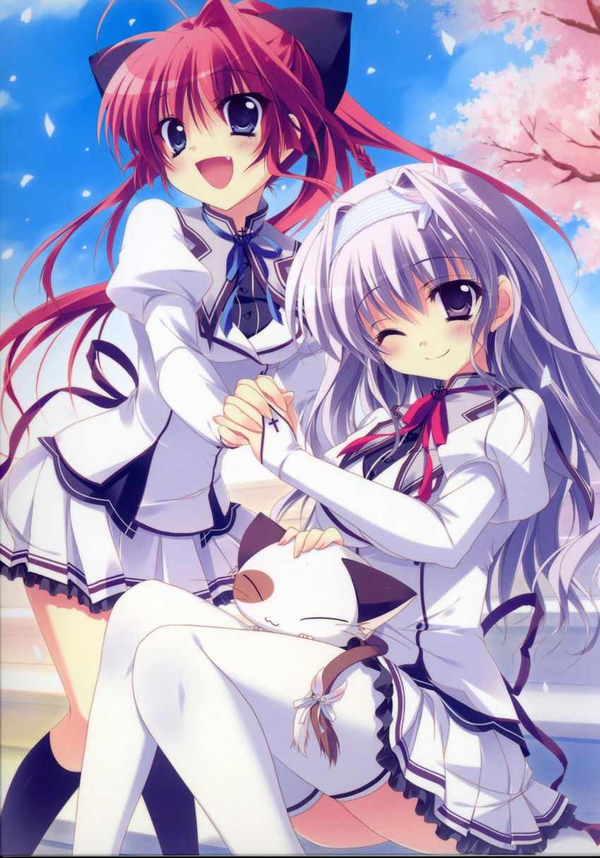 :d ;) amaha_miu blue_eyes cat cherry_blossoms fang highres holding_hands interlocked_fingers inui_sana izumi_tsubasu legs mashiroiro_symphony md5_mismatch multiple_girls one_eye_closed open_mouth pan-nya ponytail purple_eyes purple_hair red_hair school_uniform single_hair_intake smile thighhighs white_legwear |3