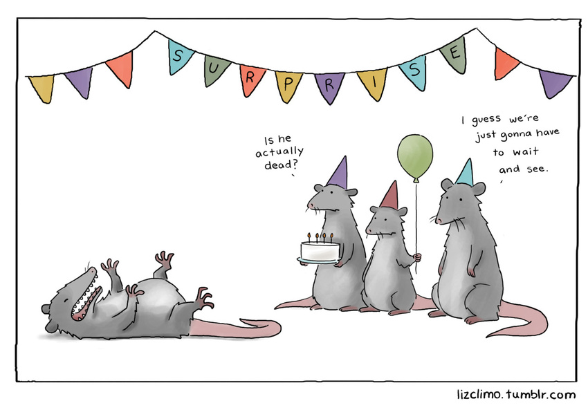 balloon birthday cake candle english_text fire food fur grey_fur hat humor liz_climo male mammal marsupial opossum text