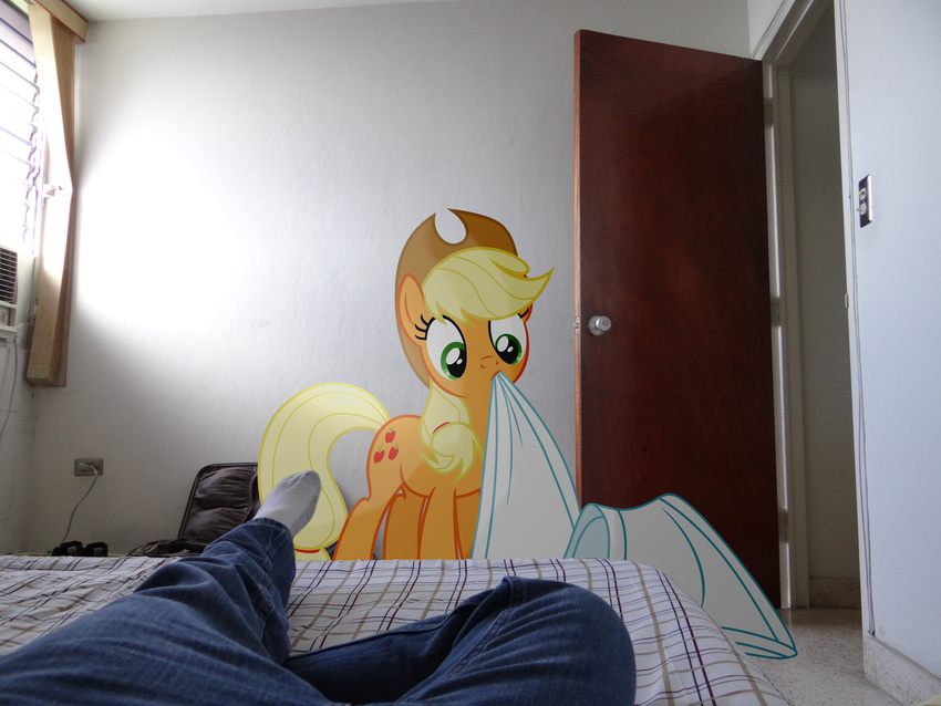 absurd_res applejack_(mlp) bed blanket blonde_hair clothing cowboy_har cowboy_hat cutie_mark door emedina13 equine female feral friendship_is_magic green_eyes hair hat hi_res horse human mammal my_little_pony pants ponies_in_real_life pony real socks window