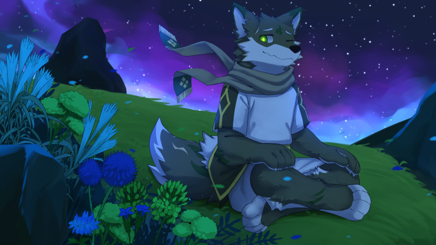 anthro canid cheek_tuft clothed clothing crossed_legs facial_tuft flower fur grass green_body green_eyes green_fur head_tuft hi_res kuttoyaki male mammal mouth_closed night one_eye_closed plant scarf sitting solo star tuft white_body white_fur