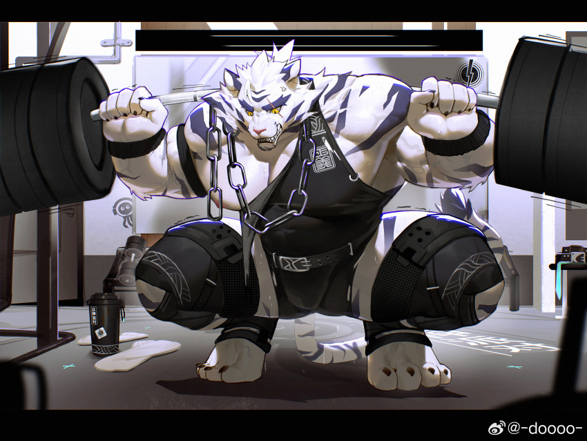 1boy abs absurdres anger_vein animal_ears armband bara black_armband black_singlet chain chinese_commentary claws clenched_hands commentary_request dislyte doooo_(doooo24) exercise furry furry_male gym highres jin_qiu_(ru_shou)_(dislyte) male_focus muscular muscular_male pectorals ponytail scar scar_across_eye squatting tail tiger_boy tiger_ears tiger_stripes tiger_tail torn_clothes veins veiny_arms weibo_logo weibo_username weightlifting yellow_eyes