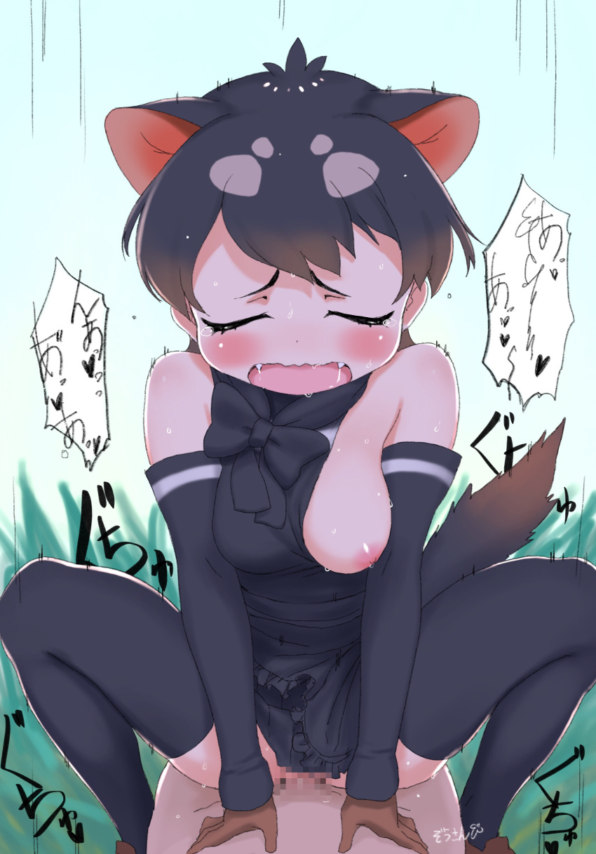 1boy animal_ears assertive_female black_hair blush bow bowtie breasts brown_hair censored clothed_sex cowgirl_position detached_sleeves extra_ears fang girl_on_top gloves happy_sex hetero highres kemono_friends kemono_friends_3 large_breasts masuyama_ryou mosaic_censoring multicolored_hair nipples one_breast_out open_mouth penis pov pussy sex short_hair solo_focus spread_legs squatting_cowgirl_position straddling sweat tail tasmanian_devil_(kemono_friends) tasmanian_devil_ears tasmanian_devil_tail thighhighs torogao vaginal
