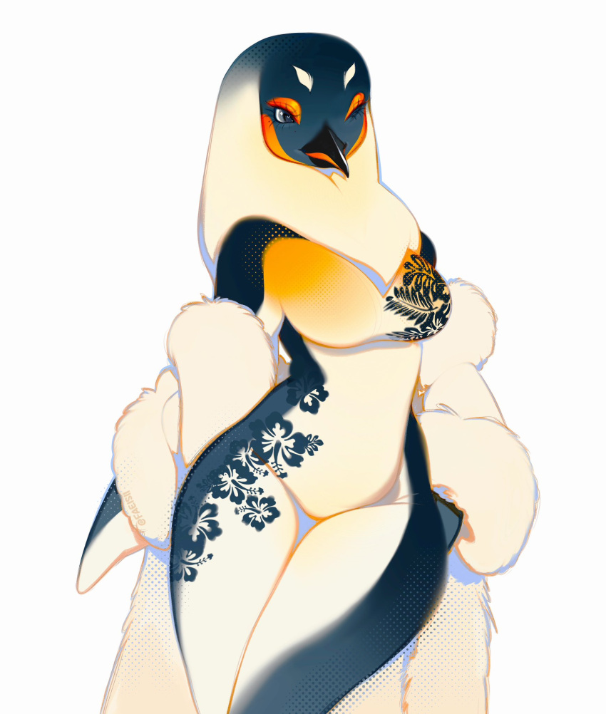 angie_(faeisii) anthro avian beak bird black_body black_feathers breasts clothing coat emperor_penguin faeisii feather_hair feathers female fur_coat gesture hand_gesture hi_res middle_finger one-piece_swimsuit one_eye_closed penguin pseudo_hair simple_background solo swimwear topwear white_background white_body white_feathers