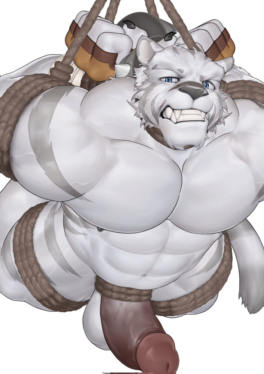 1boy abs animal_ears bara blue_eyes chinese_commentary claws clenched_teeth erection fangs fingerless_gloves furry furry_male gloves highres looking_at_viewer male_focus mercenary_(zero_kara_hajimeru_mahou_no_sho) nude pectorals penis shibari shiling_(shiling_100) tail teeth testicles tiger_boy tiger_ears tiger_stripes tiger_tail white_background zero_kara_hajimeru_mahou_no_sho