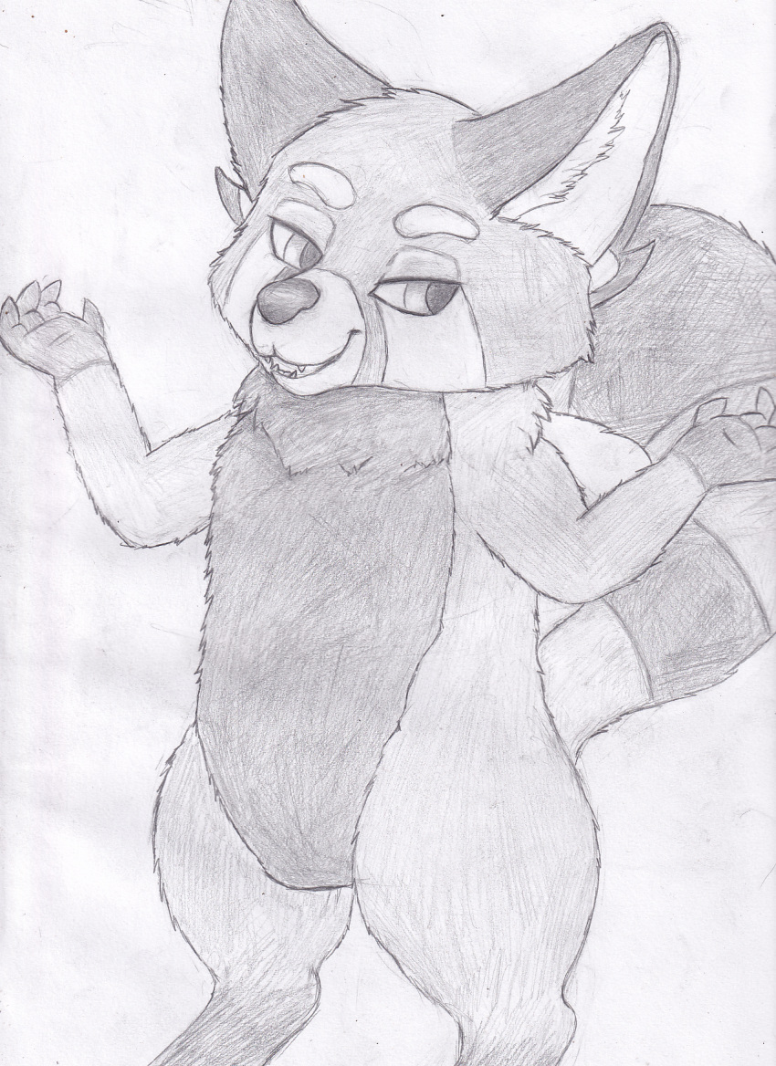 ailurid feral gesture graphite_(artwork) hi_res male mammal rascal_redtail red_panda shrug tail the_forest_of_love traditional_media_(artwork) vulnec