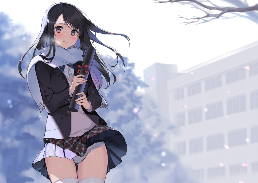 1girl black_hair blazer blush cherry_blossoms closed_mouth clothes_lift diploma floating_hair gin_(oyoyo) graduation highres holding_diploma jacket long_hair long_sleeves original outdoors panties pantyshot petals pink_eyes plaid plaid_skirt pleated_skirt scarf school_uniform skirt skirt_lift solo standing sweater_vest thighhighs tube underwear upskirt white_panties white_scarf white_thighhighs wind wind_lift