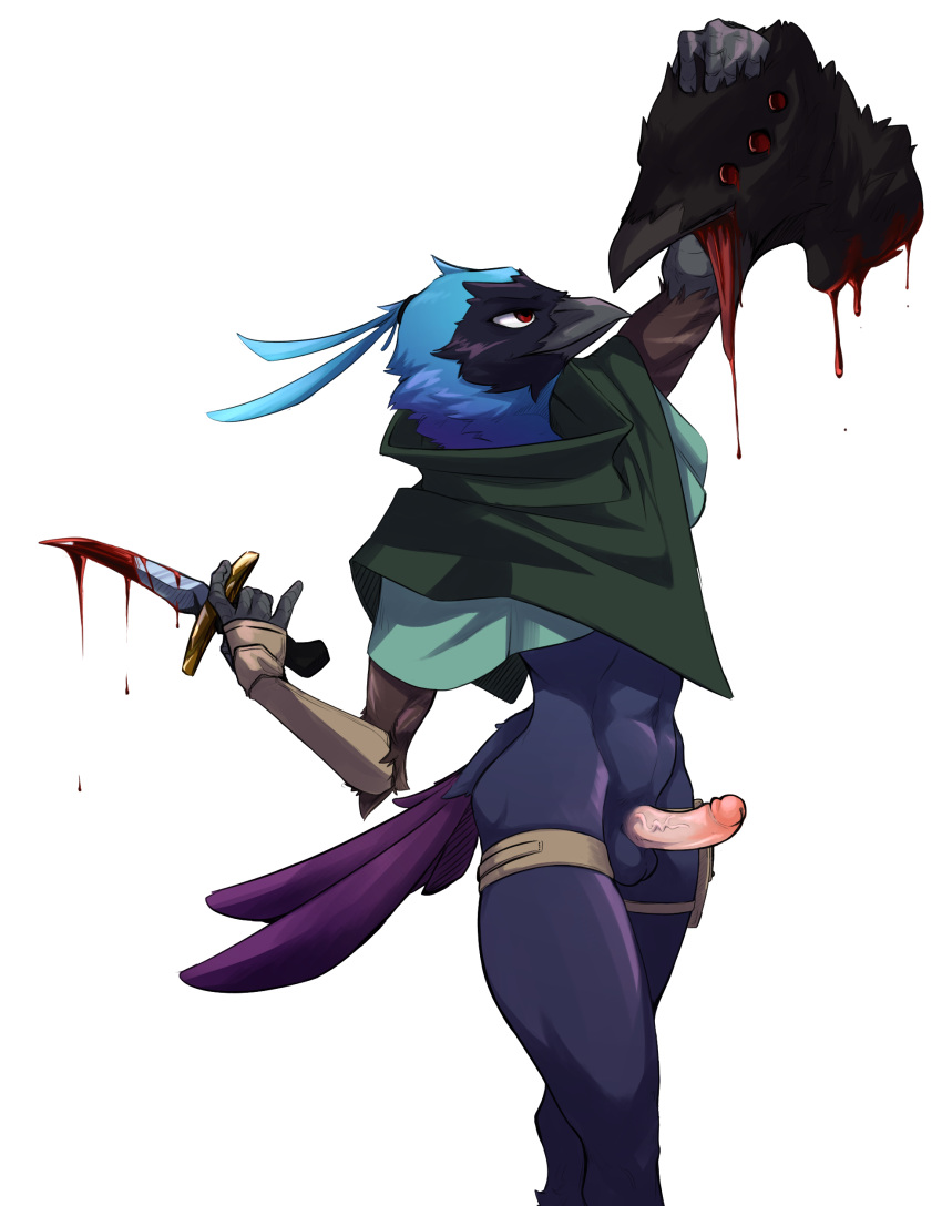 5_fingers absurd_res anthro avian balls beak bird blood blue_balls bodily_fluids dagger decapitation erection father_hill feathers fingers genitals glans gore hi_res holding_object holding_weapon humanoid_genitalia humanoid_penis knife male melee_weapon penis pink_glans pink_penis red_eyes severed_body_part severed_head shawl simple_background snuff solo tail weapon white_background