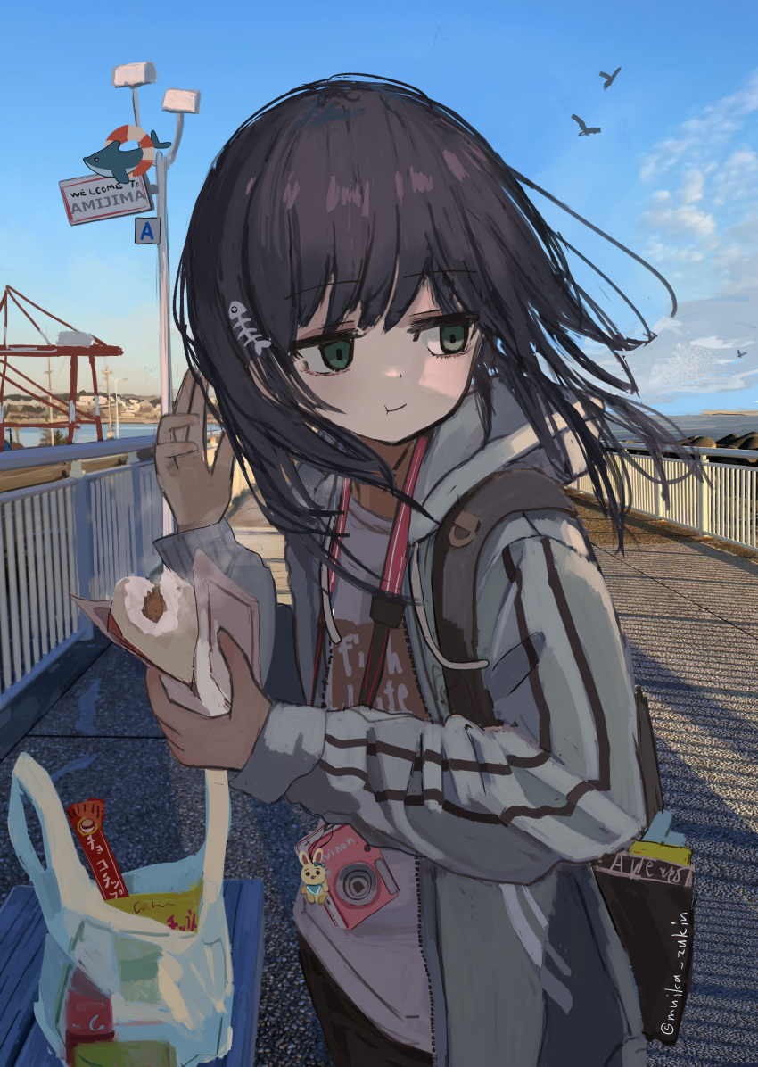 1girl :t absurdres baozi black_hair camera fish_bone food green_eyes harbor highres hood hoodie long_hair muika_zukin ocean original solo