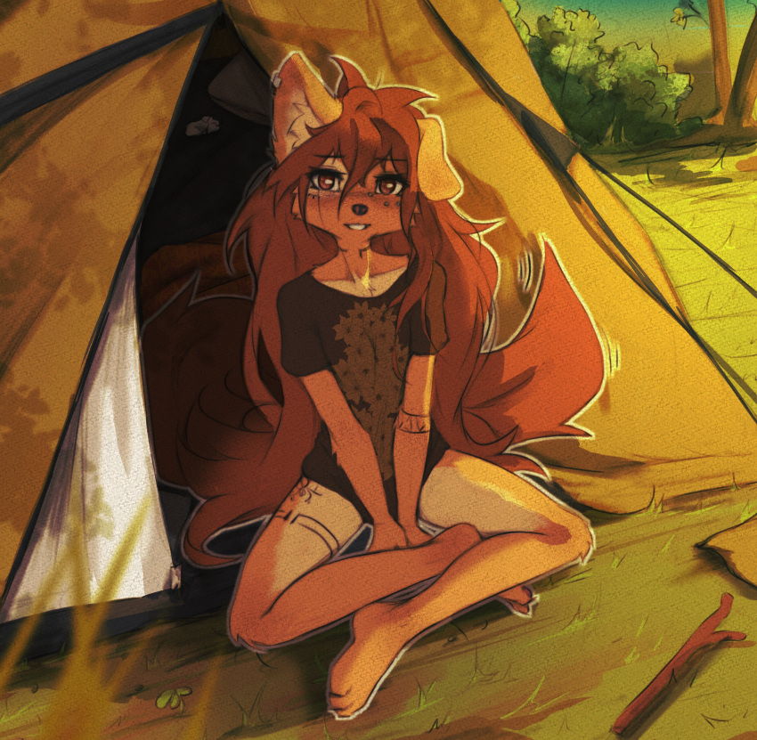 absurd_res anthro apogee_(tinygaypirate) arm_tattoo brown_eyes brown_hair camping_tent canid canine canis countershade_legs countershade_thighs countershade_torso countershading crossed_legs domestic_dog ear_piercing female fur hair hi_res hip_tattoo inner_ear_fluff leg_tattoo long_hair looking_at_viewer mammal on_ground outside piercing plant shrub sitting sitting_on_ground smile solo tan_body tan_fur tattoo teeth thigh_tattoo tinygaypirate tree tuft