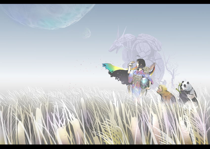 animal black_hair cape fantasy field kyan-dog mecha monkey original panda planet short_hair