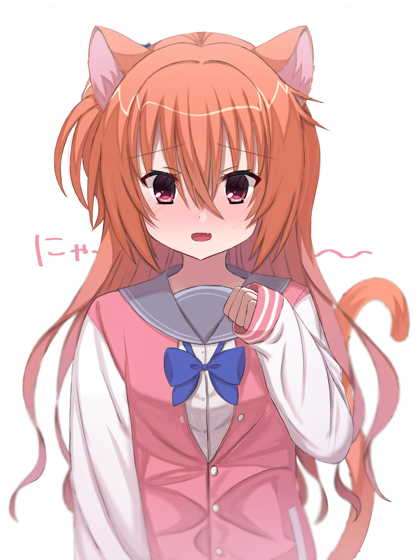 1girl absurdres animal_ears arm_at_side blue_bow blurry blush bow cat_ears cat_girl cat_tail commentary crossed_bangs depth_of_field embarrassed eyelashes eyes_visible_through_hair fang full-face_blush grey_sailor_collar hair_between_eyes hand_up highres inaba_meguru jacket kemonomimi_mode letterman_jacket long_hair looking_at_viewer mahigu_re nose_blush one_side_up open_mouth orange_hair paw_pose pink_jacket red_eyes sailor_collar sanoba_witch school_uniform simple_background skin_fang sleeves_past_wrists smile solo sound_effects straight-on tail tail_raised translated upper_body wavy_hair white_background white_sleeves