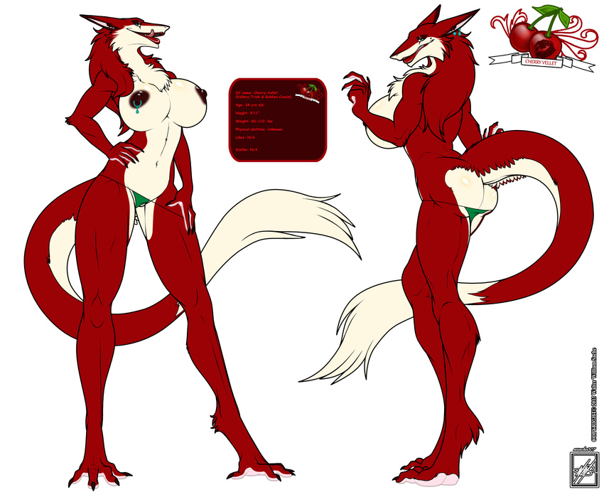 alpha_channel cherry_vellet female hi_res looking_at_viewer model_sheet panties panties_down sergal solo underwear walter_sache