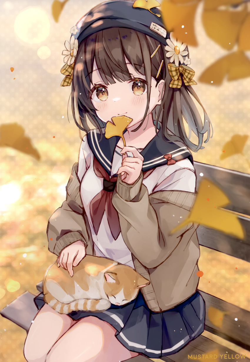 1girl absurdres animal animal_on_lap black_headwear black_sailor_collar black_skirt blush bow brown_cardigan brown_eyes brown_hair cardigan cat closed_mouth comitia_146 feet_out_of_frame flower ginkgo_leaf hair_ornament hairclip hat highres holding holding_leaf leaf long_sleeves neckerchief non-web_source on_bench on_lap open_cardigan open_clothes original plaid plaid_bow pleated_skirt puffy_long_sleeves puffy_sleeves red_neckerchief sailor_collar scan school_uniform sencha_(senta_10) serafuku shirt skirt sleeves_past_wrists smile solo white_flower white_shirt yellow_bow